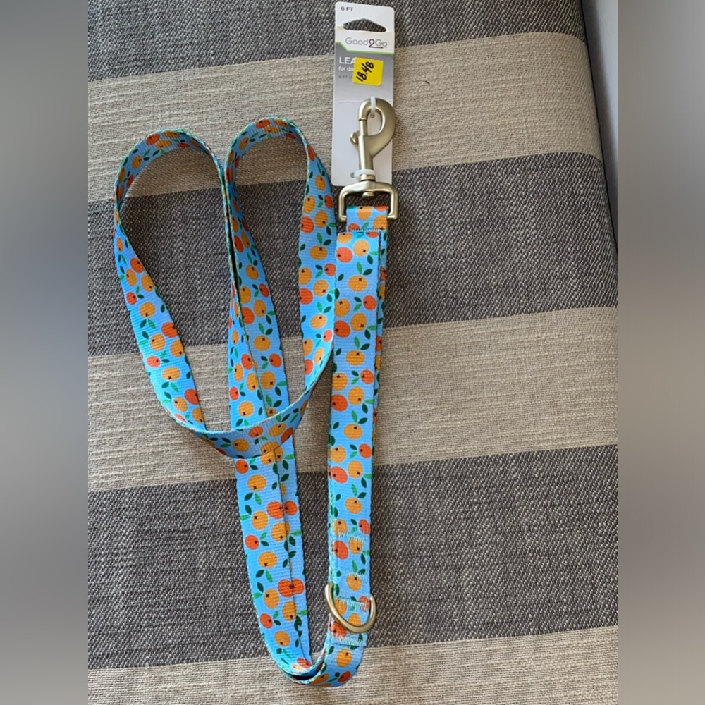 Good 2 G 6 Foot Dog Leash NWT Light Blue With Oranges On It.
